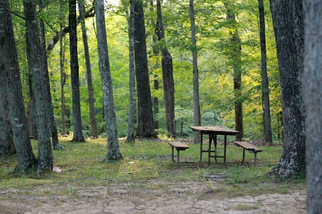 marque table de camping