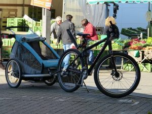 meilleur remorques de velo