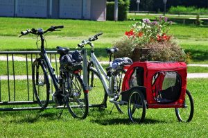 meilleurs remorques de velo