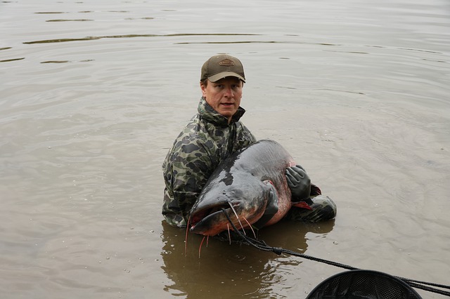 avis hamecon pour poisson chat