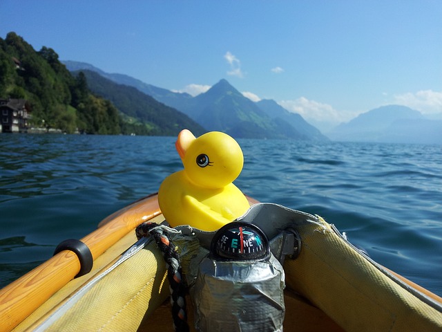 avis kayak de chasse au canard