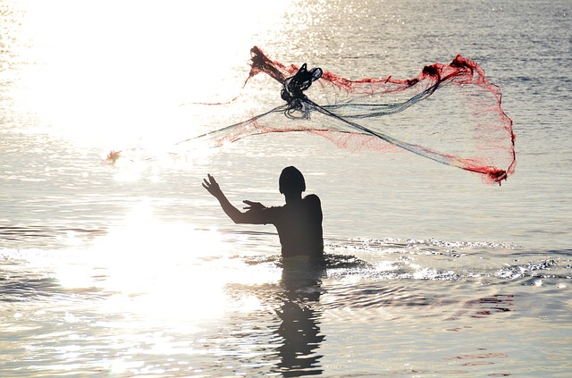 comparatif canne a peche de voyage