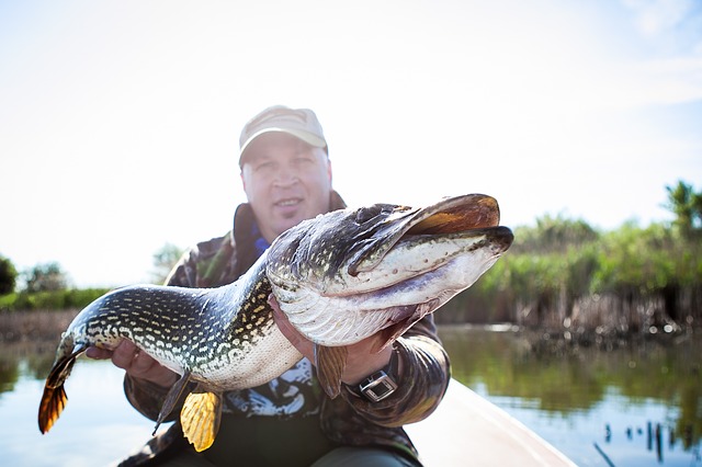 comparatif leurre pour le brochet