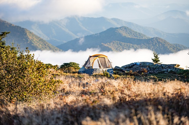 4 person tent comparison