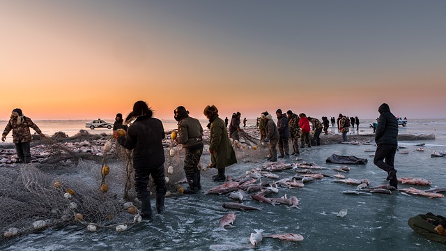 guide d'achat abri pour la peche sur glace