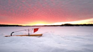 marque ligne de peche sur glace