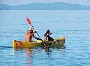 meilleur kayak de peche en mer