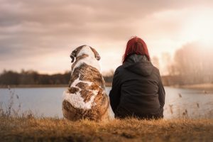 meilleur traqueur gps pour chien