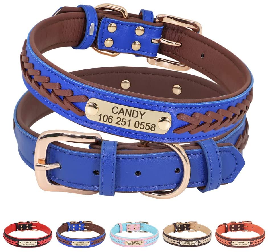 collier pour chien didog