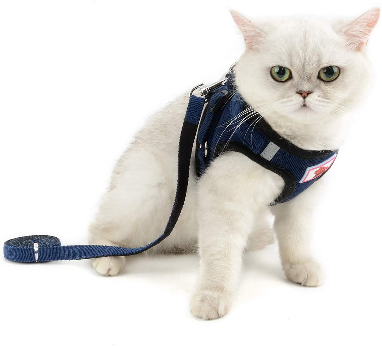 harnais pour chaton