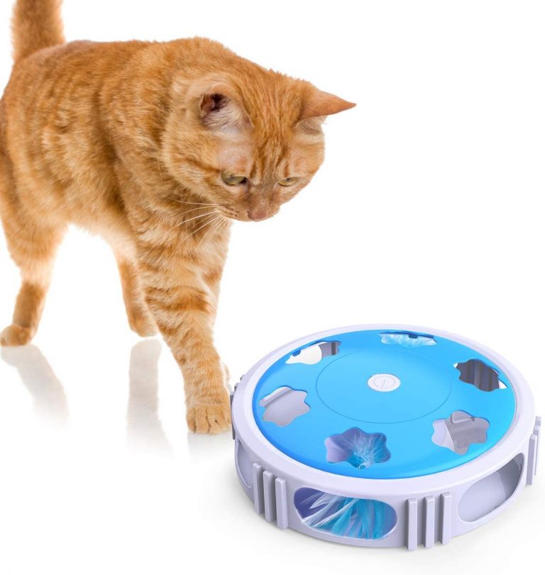 Chat En Peluche Interactif électronique - Marche, Miaule, Remue La Queue - Avec Laisse Télécommandée - Cadeau Enfant 3-6 Ans Chat En Peluche Interactif électronique - Marche, Miaule, Remue La Queue - Avec Laisse Télécommandée - Cadeau Enfant 3-6 Ans