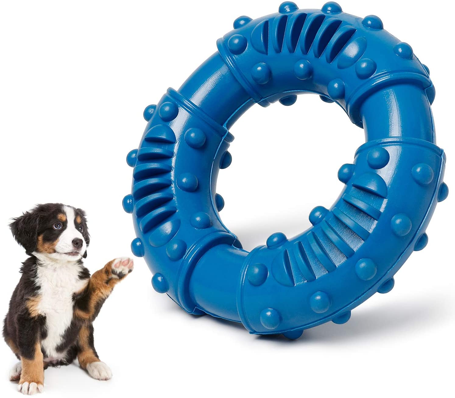 jouet pour chien indestructible