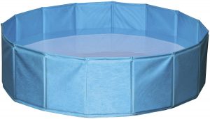 piscine pour chien bleu