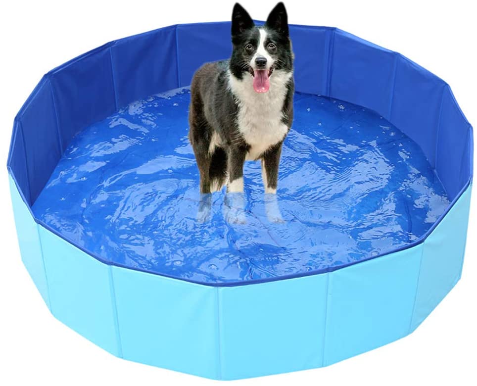 piscine pour chien pliable en pvc