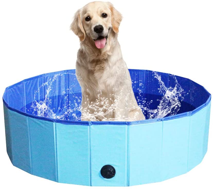 piscine pour chien pliable