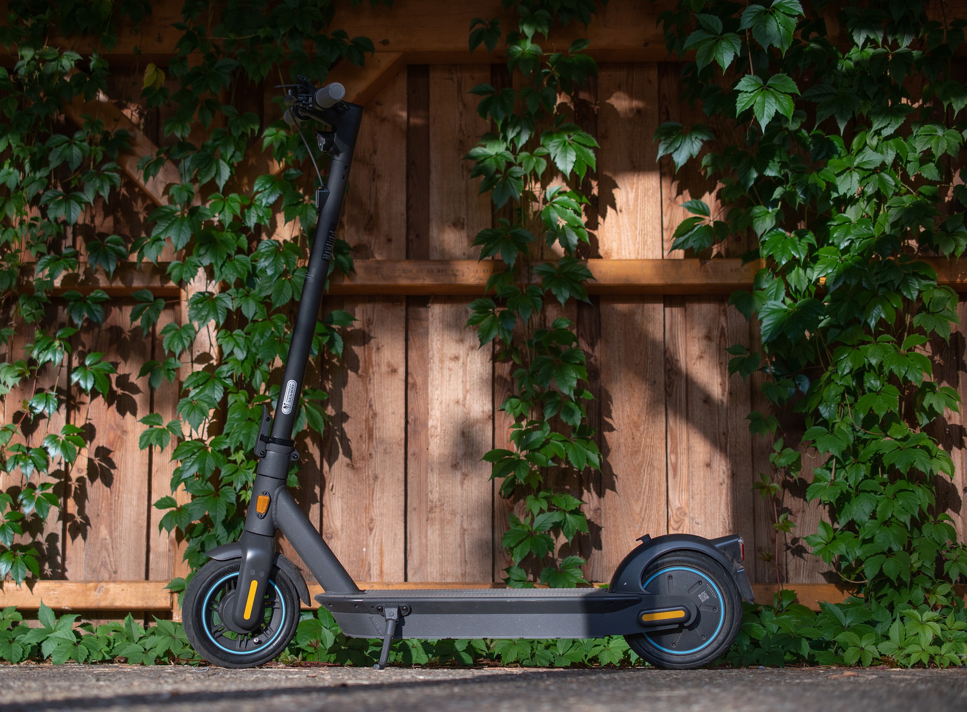 Comment choisir une trottinette freestyle