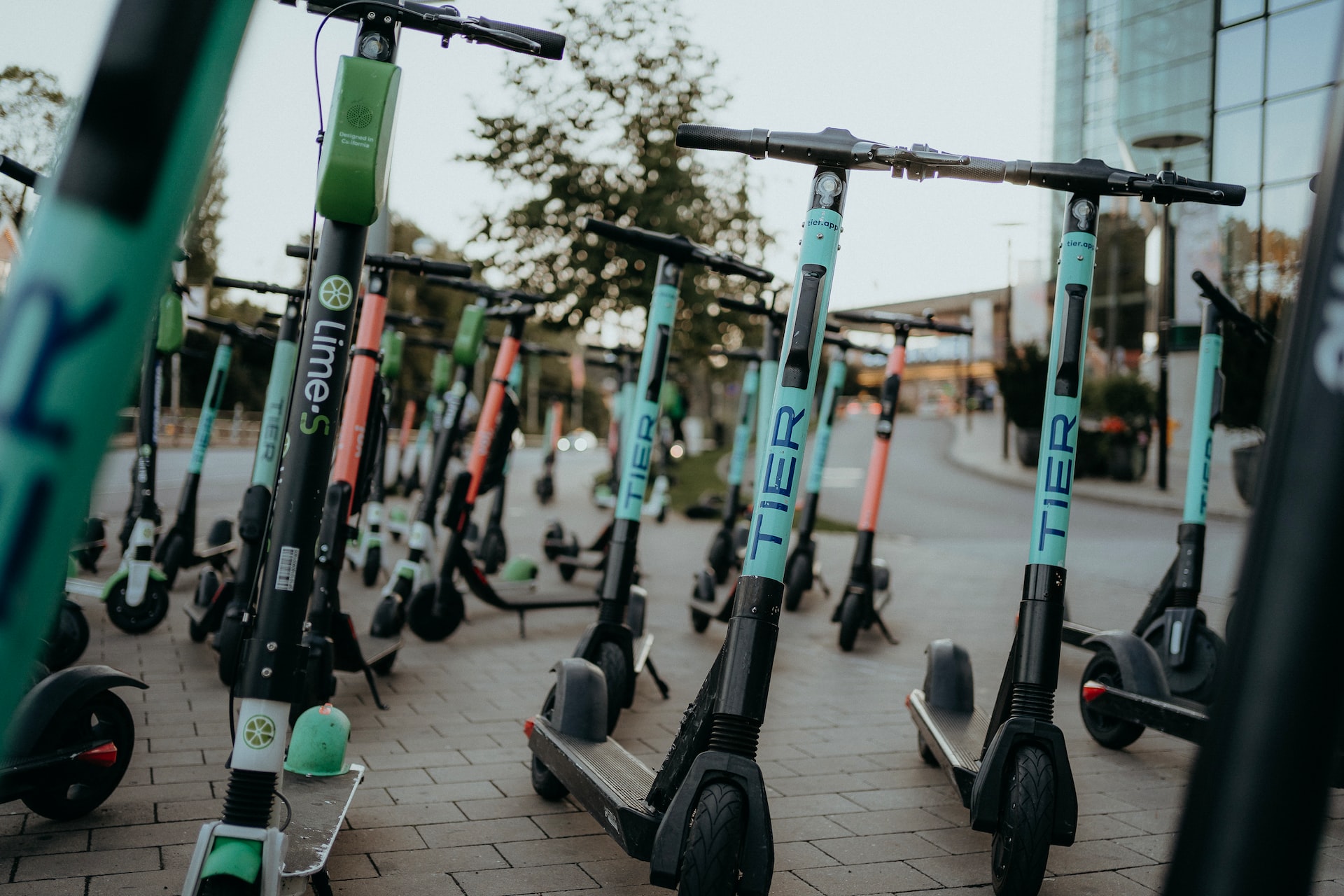 Randonnée trottinette électrique